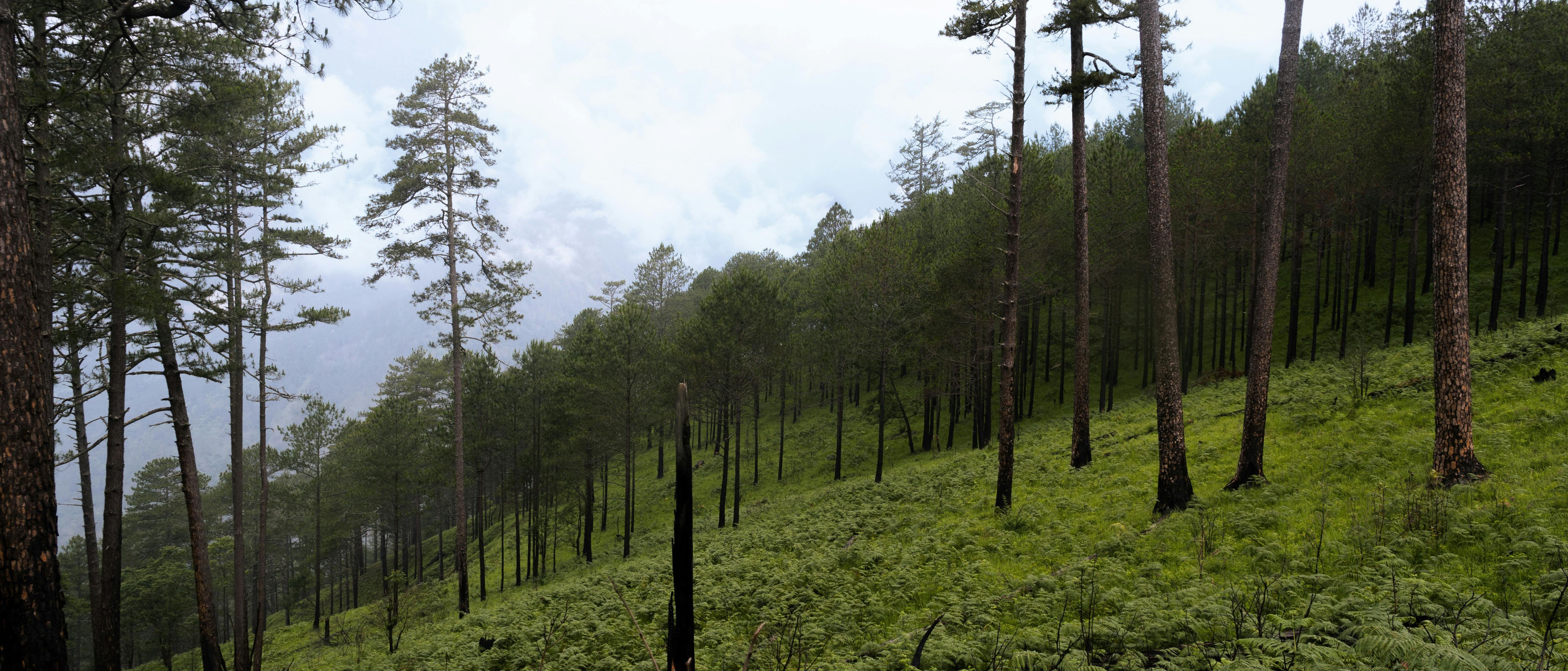 Himachal Tour Package Image