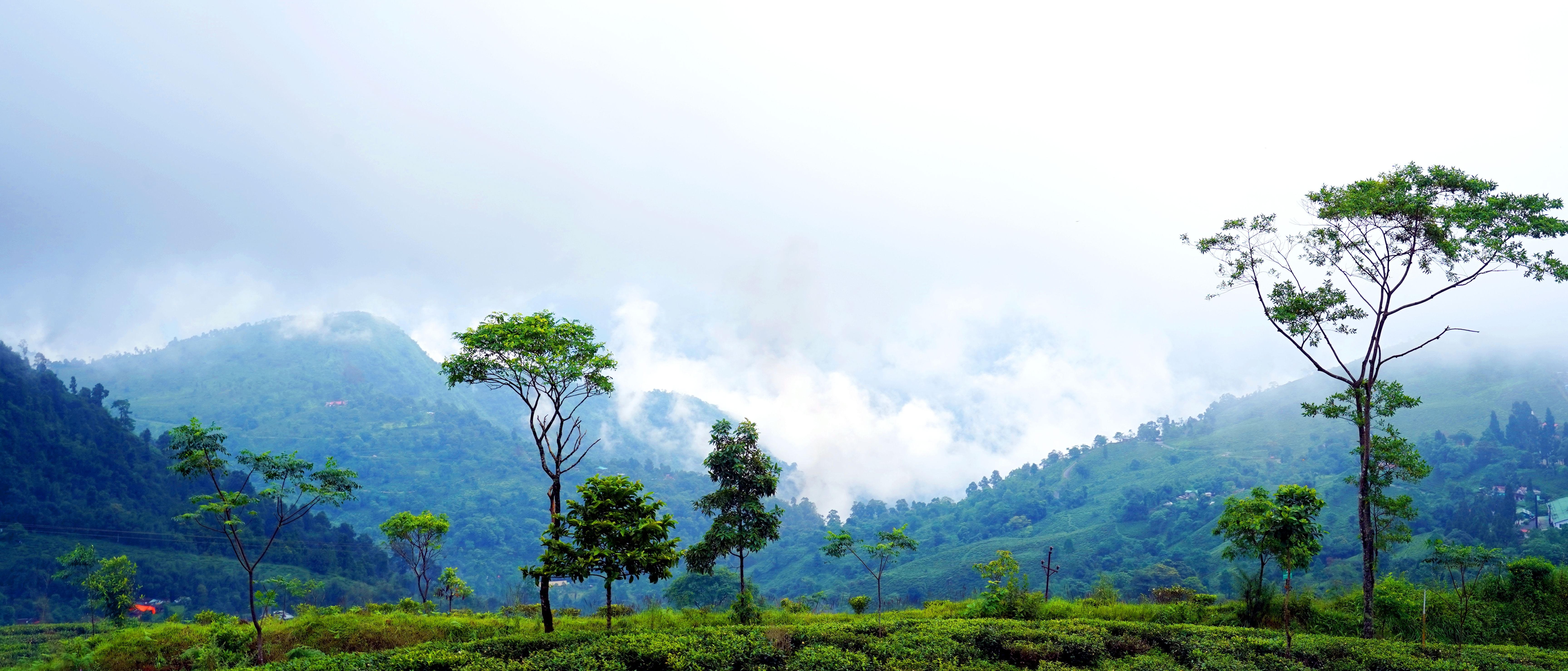 Himachal Tour Package Image