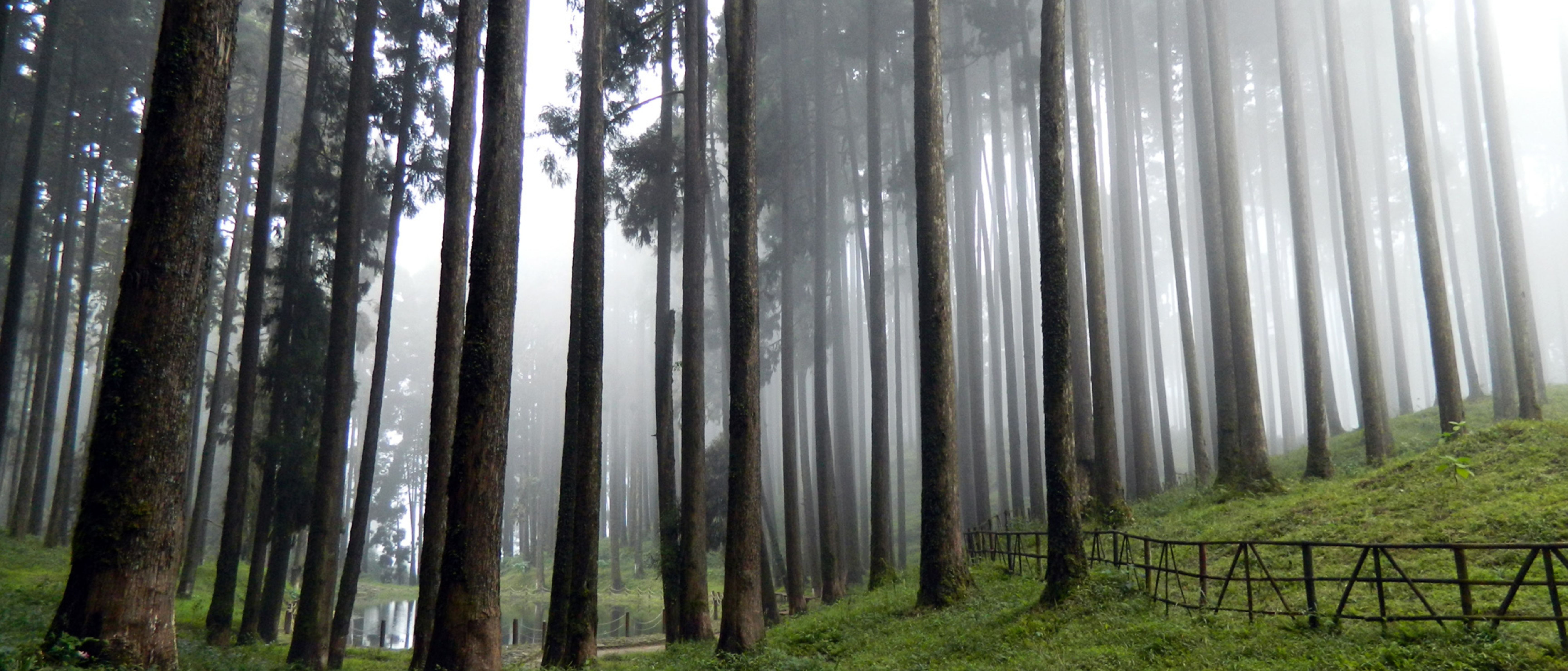 Dubai Tour Package Image