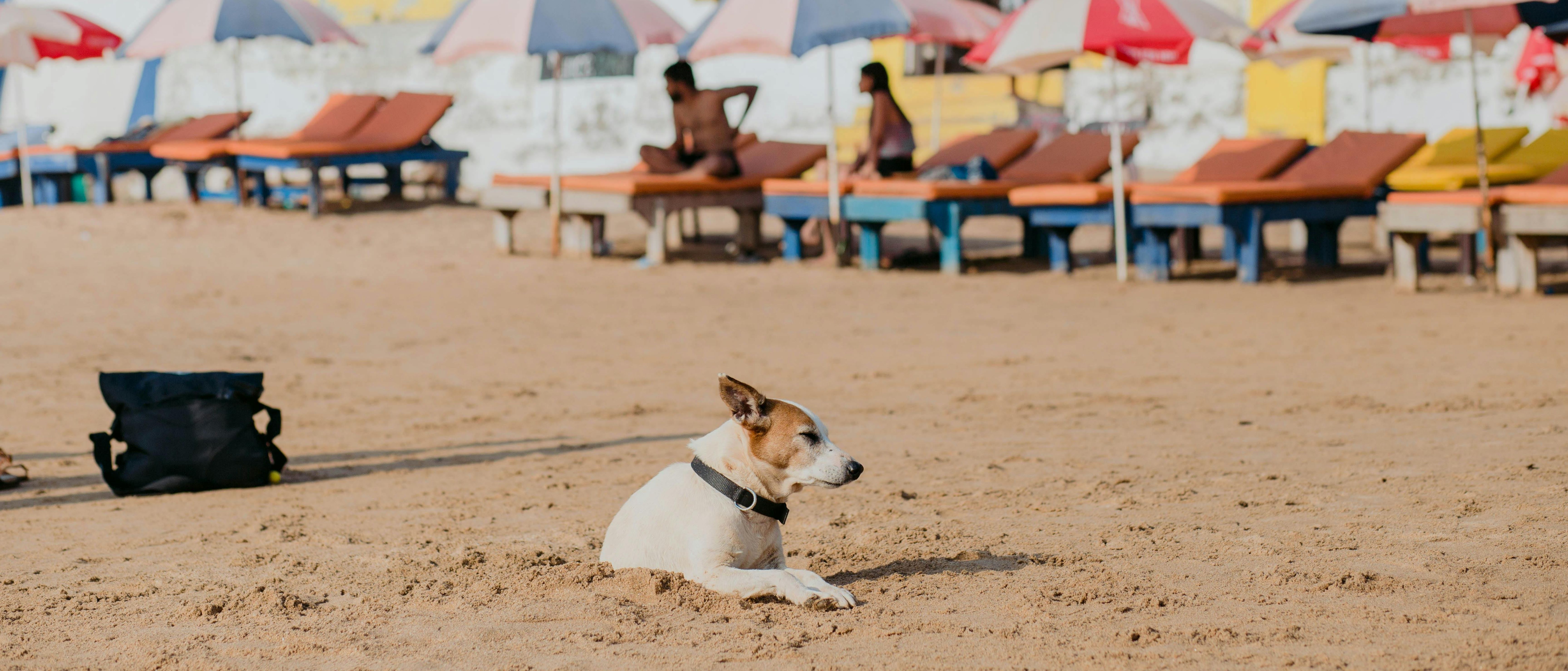 Himachal Tour Package Image