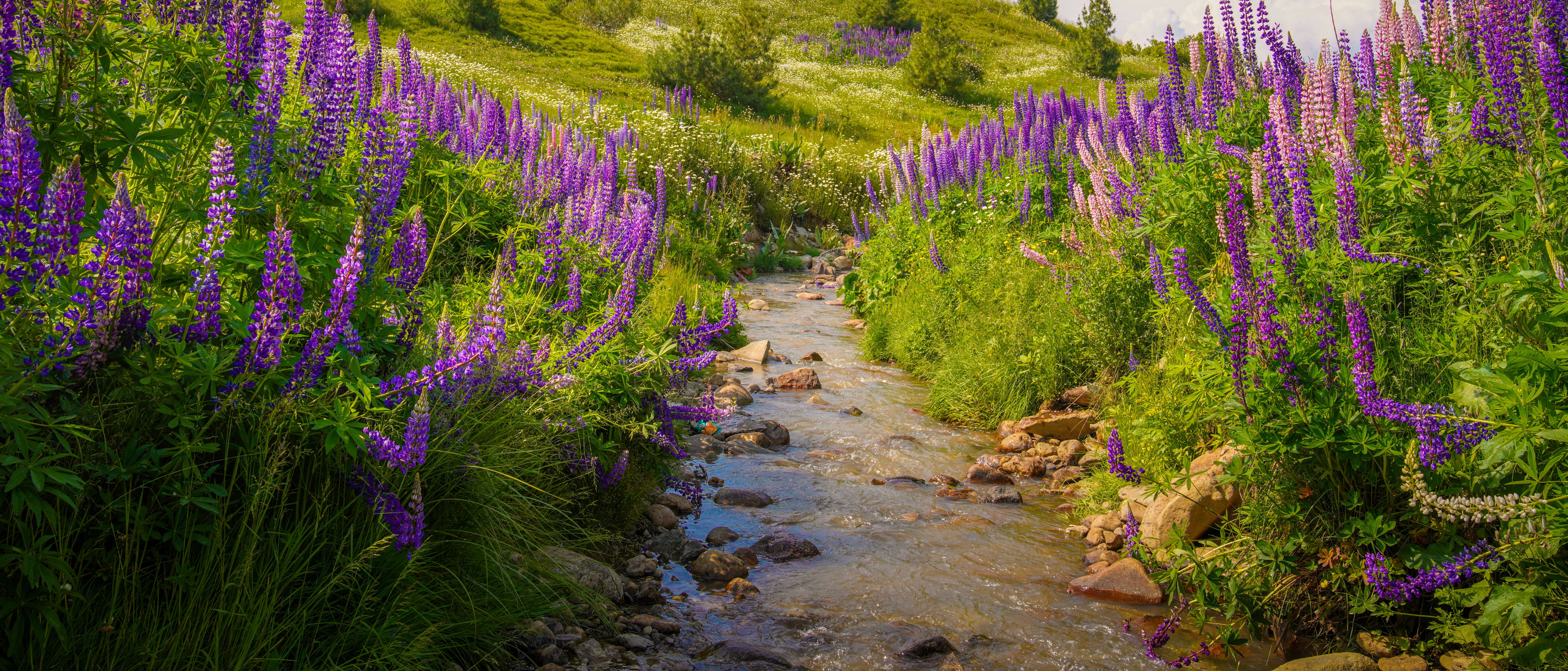 Dubai Tour Package Image